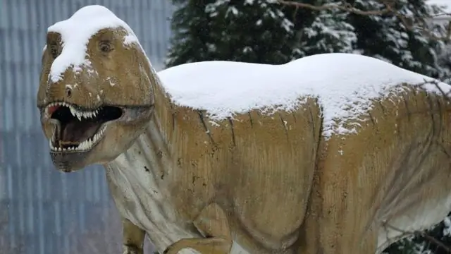 Как темнота и холод убили динозавров