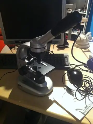 Исследование белков: компьютер как микроскоп