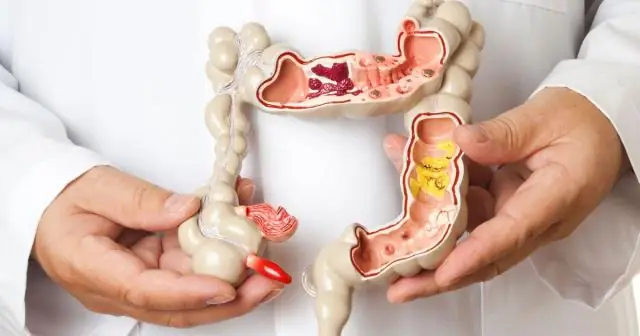 Исследователь раскрывает влияние микроорганизмов на накопление углерода в почве