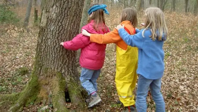 Движущие факторы изменений между локальными и глобальными углеродными циклами