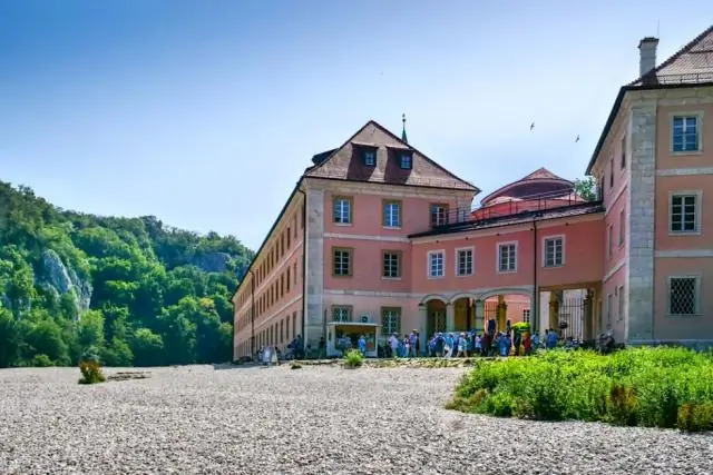 Движение вверх по пищевой цепочке лучше, чем быть на вершине: более мелкие и молодые хищники оказывают огромное влияние на экосистему