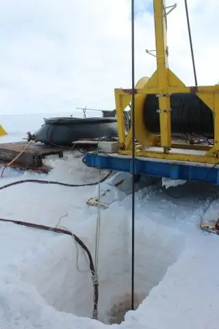Введение: биологи изучают развитие разделения труда среди пчел: одиночные щелочные пчелы штата Вашингтон дают представление о социальных пчелах
