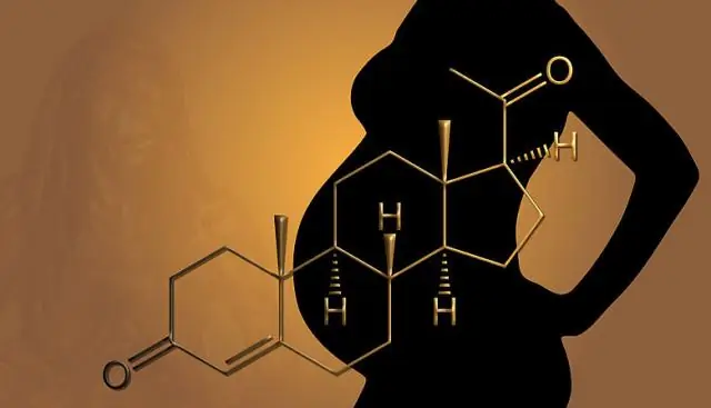 Митохондриальная ДНК показывает влияние изменения климата на чаек в прошлом
