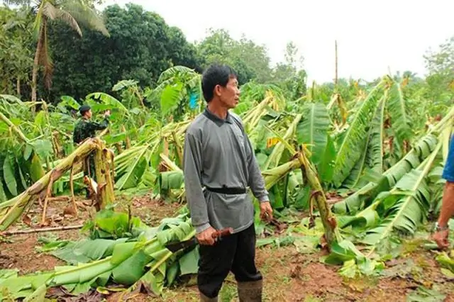 Экстремальные отключения электроэнергии, вызванные космической погодой, могут стоить США более 40 миллиардов долларов в день: новое исследование показывает, что более половины потерь происходит за пре