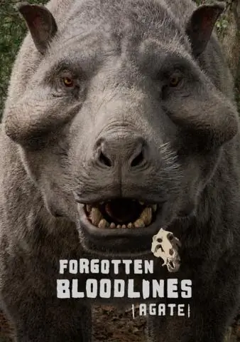 Доисторические отложения мега-озера дают ключевое представление о том, как внутренние регионы реагировали на ‘супертеплицу’ мероприятие