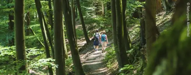 Пещеры в центральном Китае показывают историю естественных моделей наводнений: исследователи используют пещерные структуры для определения исторических осадков