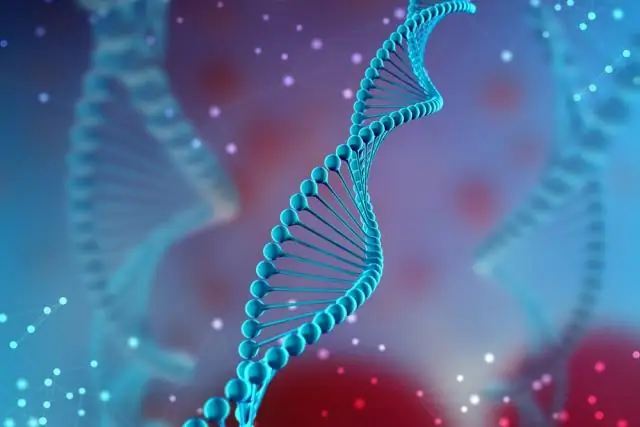 Обработанный углерод вытягивает радиоактивные элементы из воды: исследователи разработали уникальные сорбенты, нацеленные на место аварии на Фукусиме