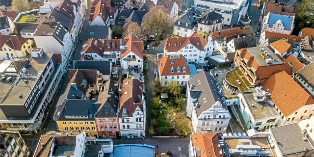 Результаты исследований могут помочь предотвратить попадание патогена, убивающего урожай, в США