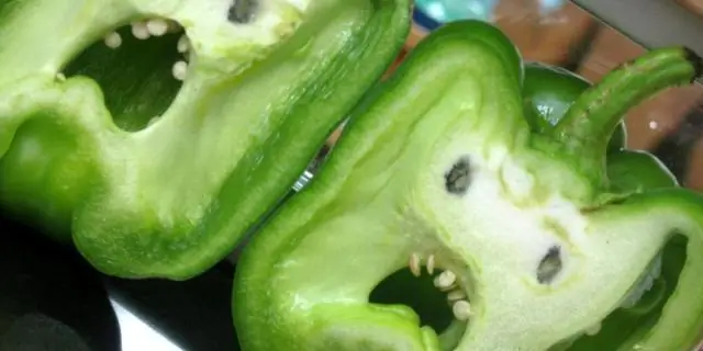 Рыбы-попугаи имеют решающее значение для здоровья коралловых рифов, говорится в исследовании: анализ показывает ключевую роль питающихся водорослями рыб в росте кораллов