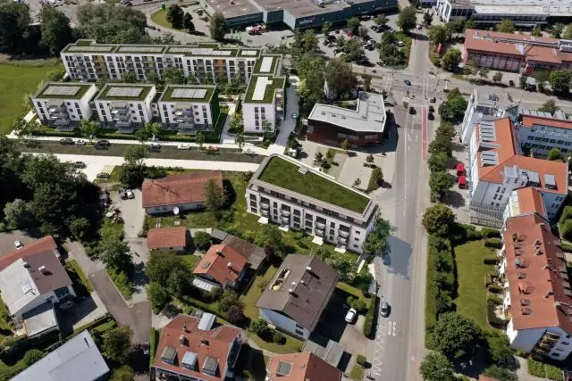 Новый вид крабов носит имя двух персонажей «Гарри Поттера» и героя-исследователя