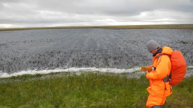 Арктические талые пруды образуются, когда талая вода закупоривает ледяные поры