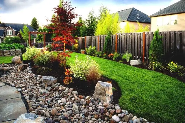 От крошечного фитопланктона до массивного тунца: как изменение климата повлияет на потоки энергии в экосистемах океана