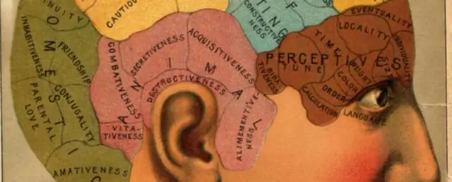 Описан пропущенный шаг в том, как клетки перемещают свой груз