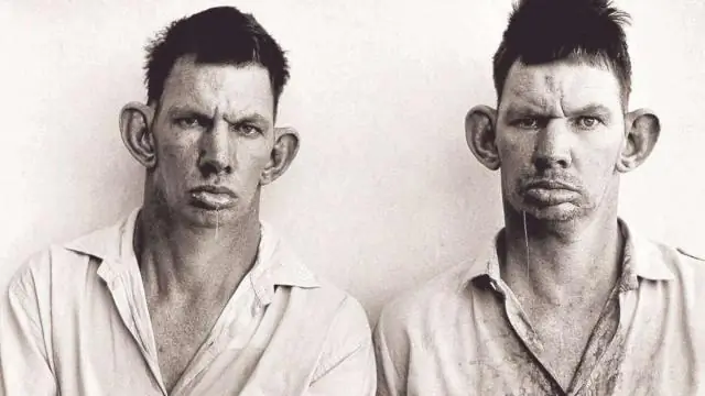 Рой подводных роботов имитирует жизнь океана: исследователи Fesearchers совместно изучают новую технологию с использованием «роботизированного планктона»