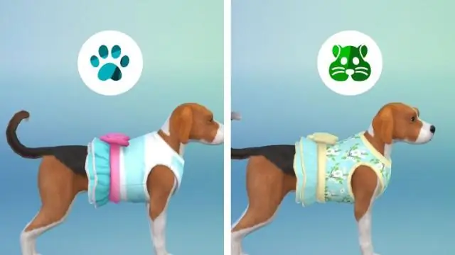 Первые обнаруженные яйца трилобита в паре с окаменелостями сегментированного существа