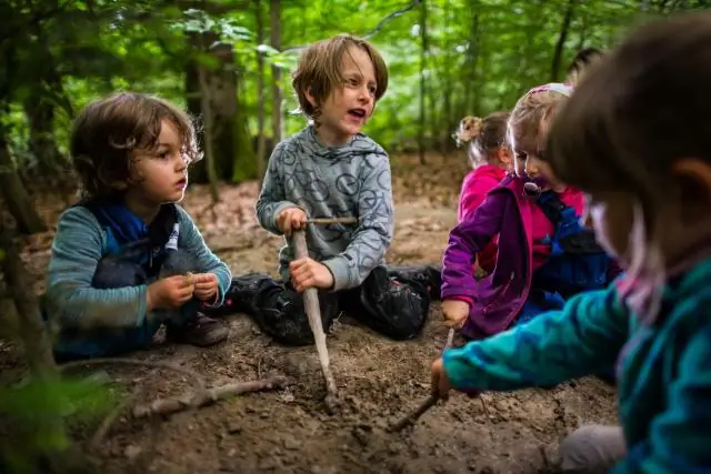 Доклад об изменении климата изучает поглощение углерода экосистемами