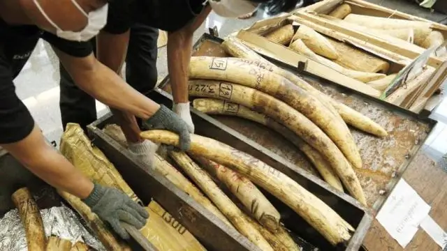 Ученые нашли способ секвенировать ДНК редких животных