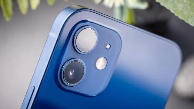 Загон клопов-вонючек может улучшить качество вина