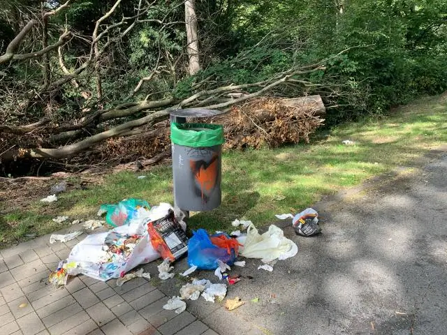 Пойман с поличным: «полосатый рак-отшельник» - новый вид из Карибского моря