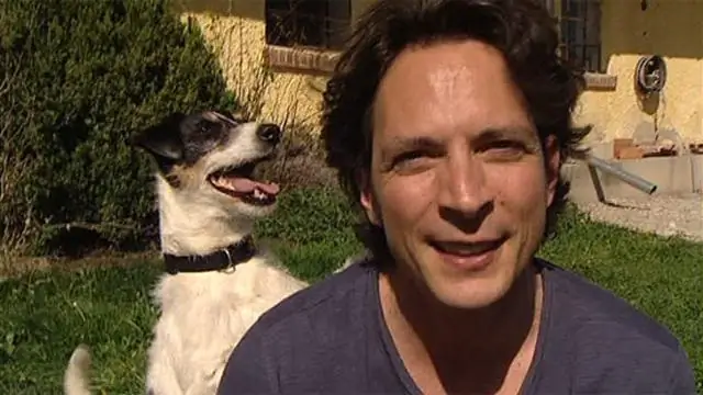 Как насекомые решают взрослеть: Ученые открыли ключевой механизм, контролирующий половую зрелость плодовых мушек