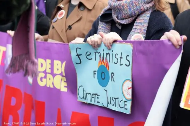 Изменение климата помогло убить гигантских животных ледникового периода в Австралии