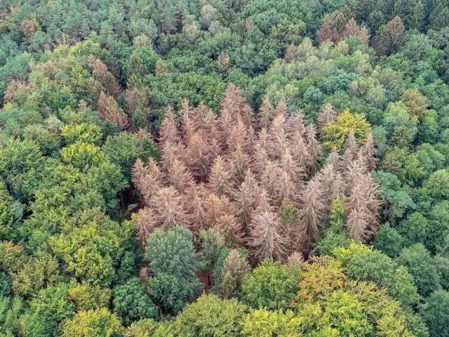Адаптация древней цивилизации Инда к изменению климата