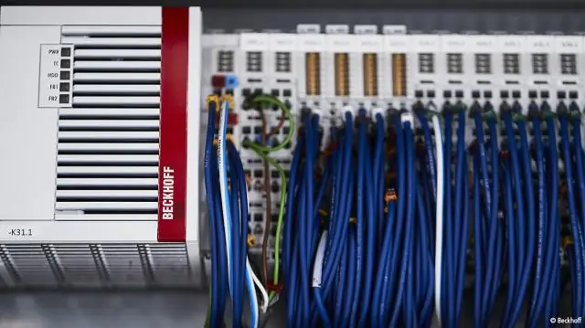 Быстрая эволюция признаков имеет решающее значение для роста вида