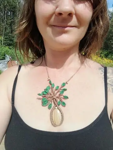 Окаменелое дерево и ледяные ядра помогают датировать мощное извержение вулкана 1000 лет назад с точностью до трех месяцев