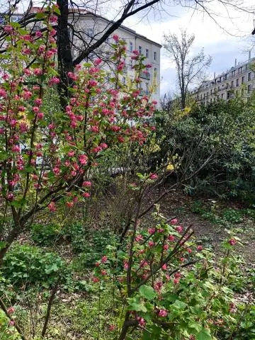 500-миллионный вид дает представление о жизни древних многоногих червей