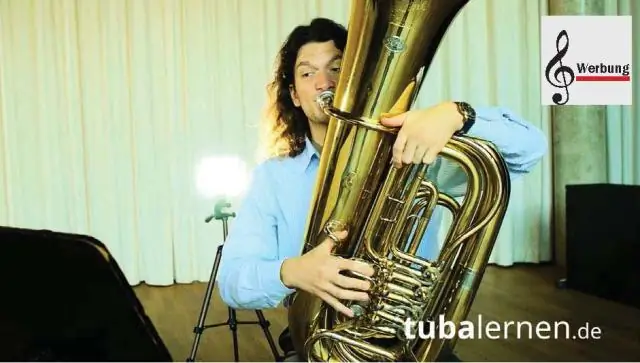 Правильные ноты: биолог изучил, как певчие птицы в отдаленных районах Коста-Рики учат новые дуэты в паре с новым партнером