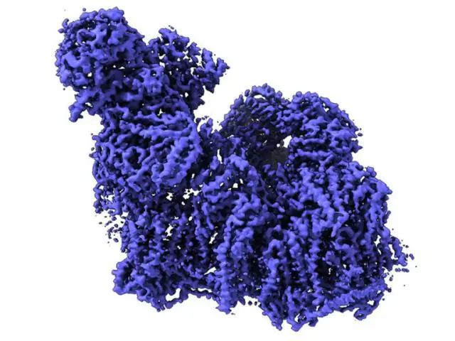Клеточная биология: новые молекулярные данные о сортировке белков в клетке