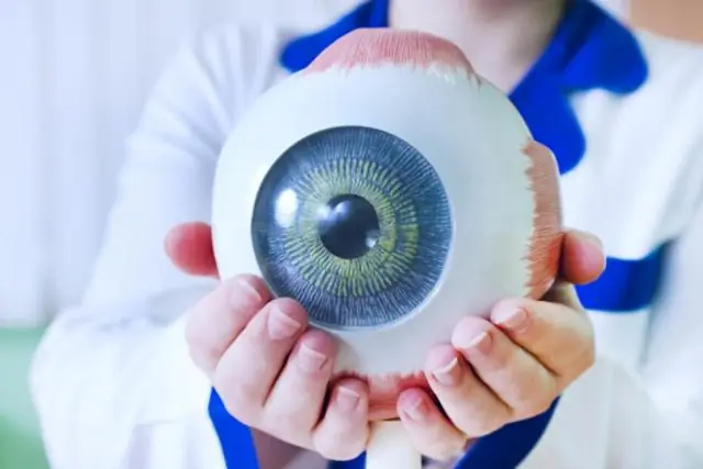 Ученые показали, как общаются клетки