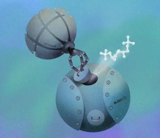 Механизм фотосинтеза уже существовал у первобытных микробов