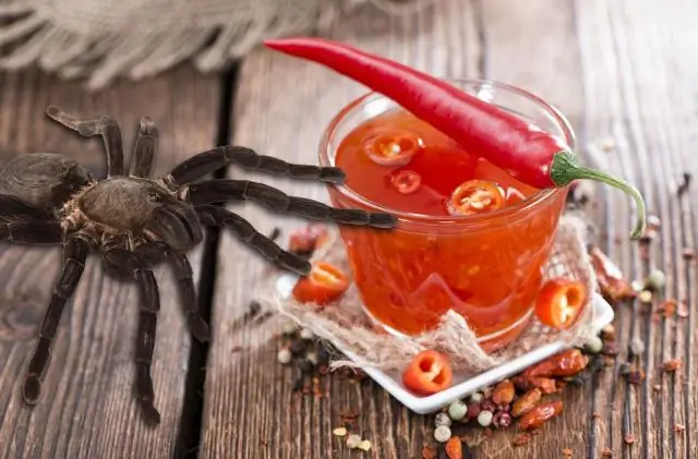 Ученые разработали генератор электроэнергии, имитирующий деревья