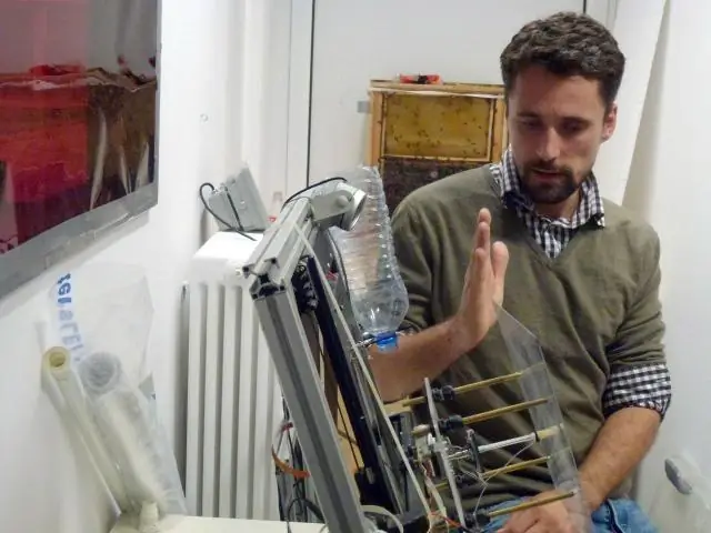 Любители птиц помогают ученым раскрыть секреты эволюции клюва