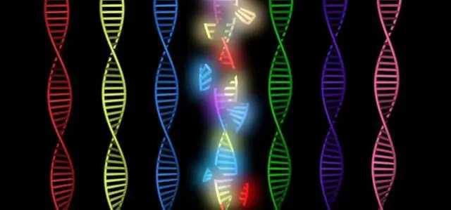 Научная группа описывает новый молекулярный механизм для борьбы с бактериальными инфекциями
