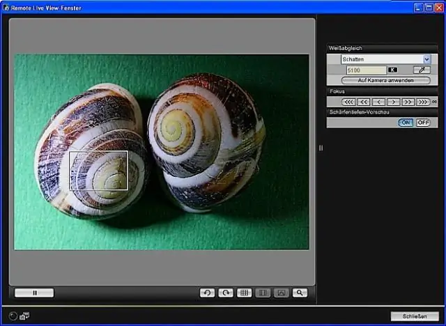 Исследования показывают важность удаленных камер как инструментов сохранения биоразнообразия
