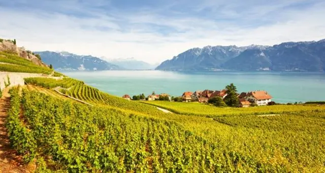 Белковый шаперон серьезно относится к своей работе: биохимики рассказали, как рибосомный белок защищен своим шапероном