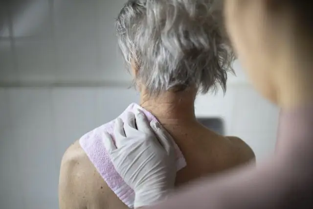 Усилия по восстановлению находящегося под угрозой исчезновения Пандо показывают обещание, говорит эколог УрГУ: отчет о массивном клоне осины в Юте в «Экосфере»