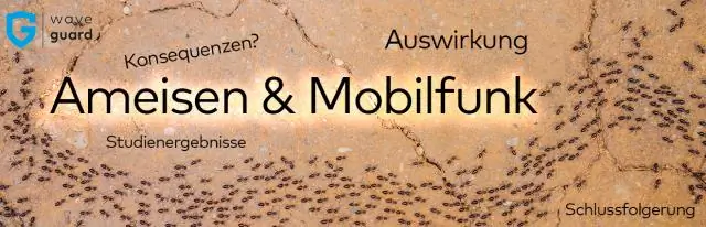 Исследование обнаруживает взаимное усиление фенотипического разнообразия и сотрудничества: исследование исследует «мы против них» и то, как в первую очередь возникает фенотипическое разнообразие