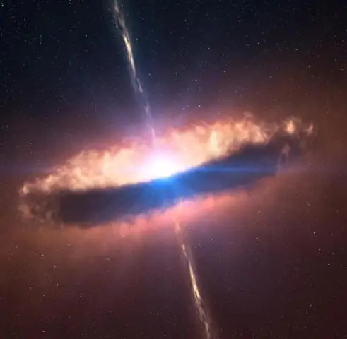 Ученый изучает, вызывают ли солнечные бури выброс животных на берег