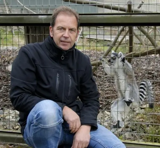 Исследователи стремятся улучшить благополучие хищных птиц, содержащихся в неволе, путем обогащения обоняния