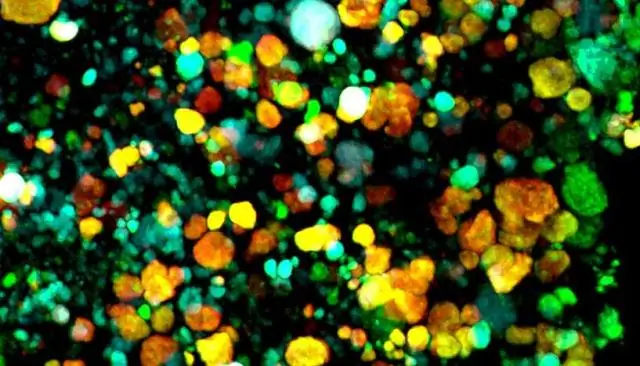 Фармацевтика из угольной шахты? Новые микробные производные гелданамицина и циклопентеноновые ансамицины из заброшенной угольной шахты