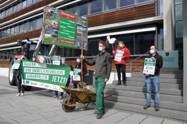 Чтобы спасти находящихся под угрозой исчезновения черных носорогов, необходимо переосмыслить