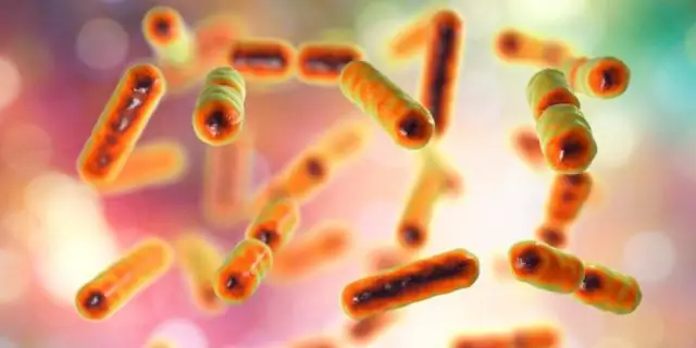 Анализ кишечных микробов и их побочных продуктов необходим для понимания здоровья человека