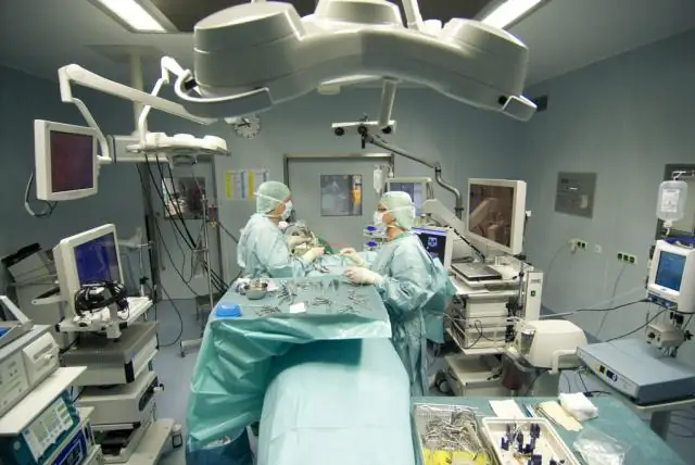 Рыба-фонарик Splitfin использует биолюминесцентный свет для освещения планктона: рыба в лаборатории излучала больше света ночью, в присутствии планктонной добычи