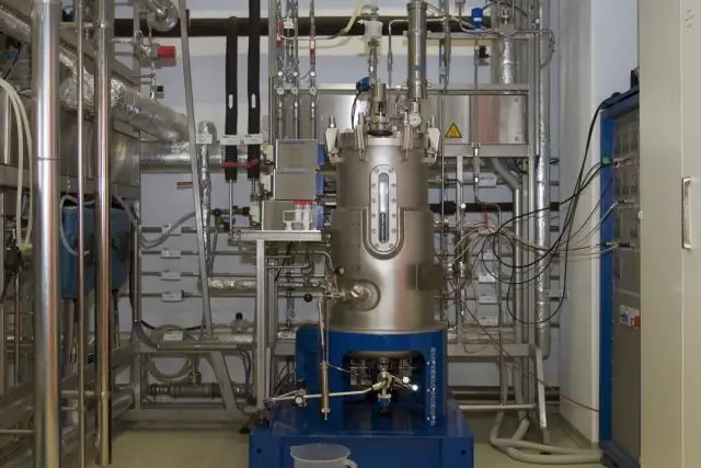 Бактерии, питаемые синтетическими железосодержащими молекулами, превращаются в электрические генераторы