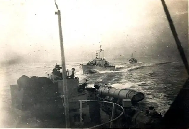 Холодные пластины и термоклеи: новые данные по истории Тихоокеанского огненного кольца