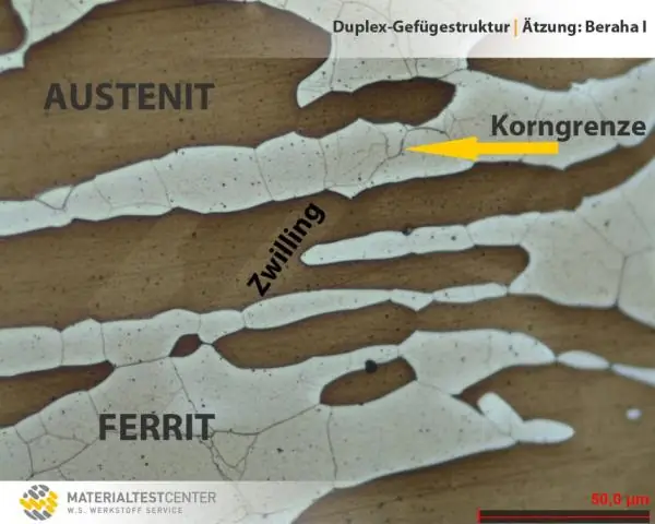 Особые свойства защитной «слизи» миксин