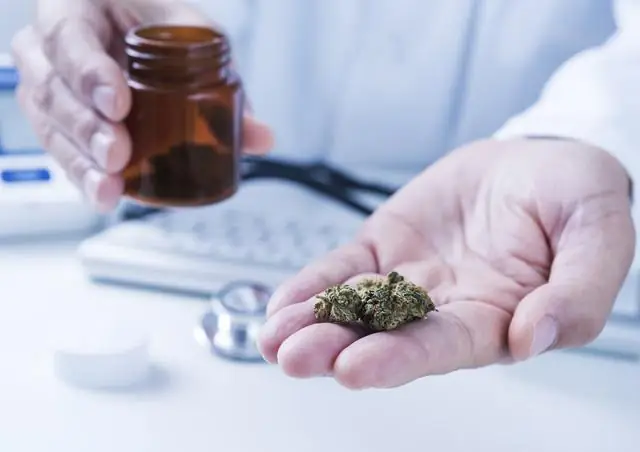 Растительная терапия гемофилии показывает многообещающие результаты